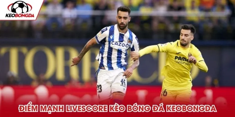 Điểm mạnh LiveScore kèo bóng đá đáng ghi nhận