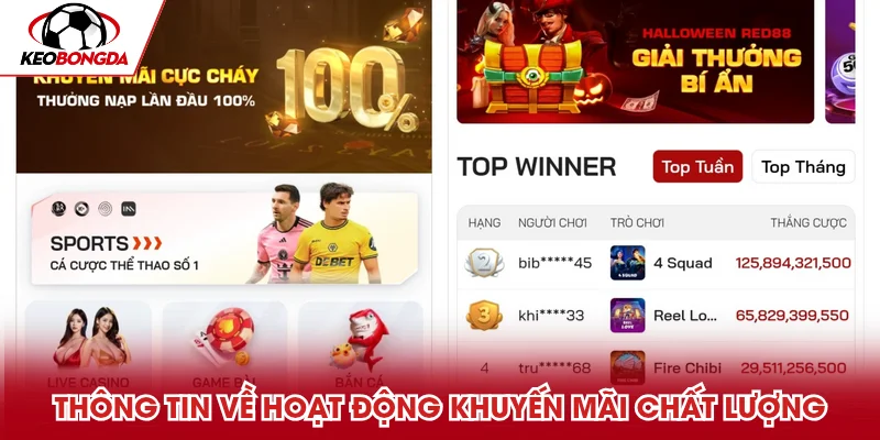 Thông tin về hoạt động khuyến mãi chất lượng cao
