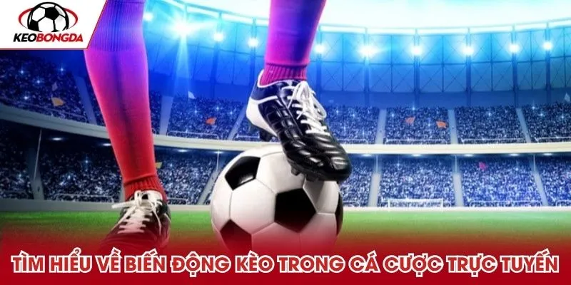 Tìm hiểu về biến động kèo trong cá cược bóng đá trực tuyến
