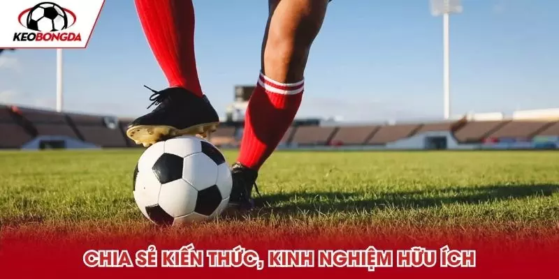 Chia sẻ nhiều kiến thức, kinh nghiệm dự đoán hay