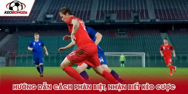 Hướng dẫn cách phân biệt, nhận biết kèo cược