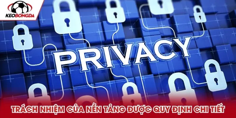 Trách nhiệm của nền tảng được quy định chi tiết